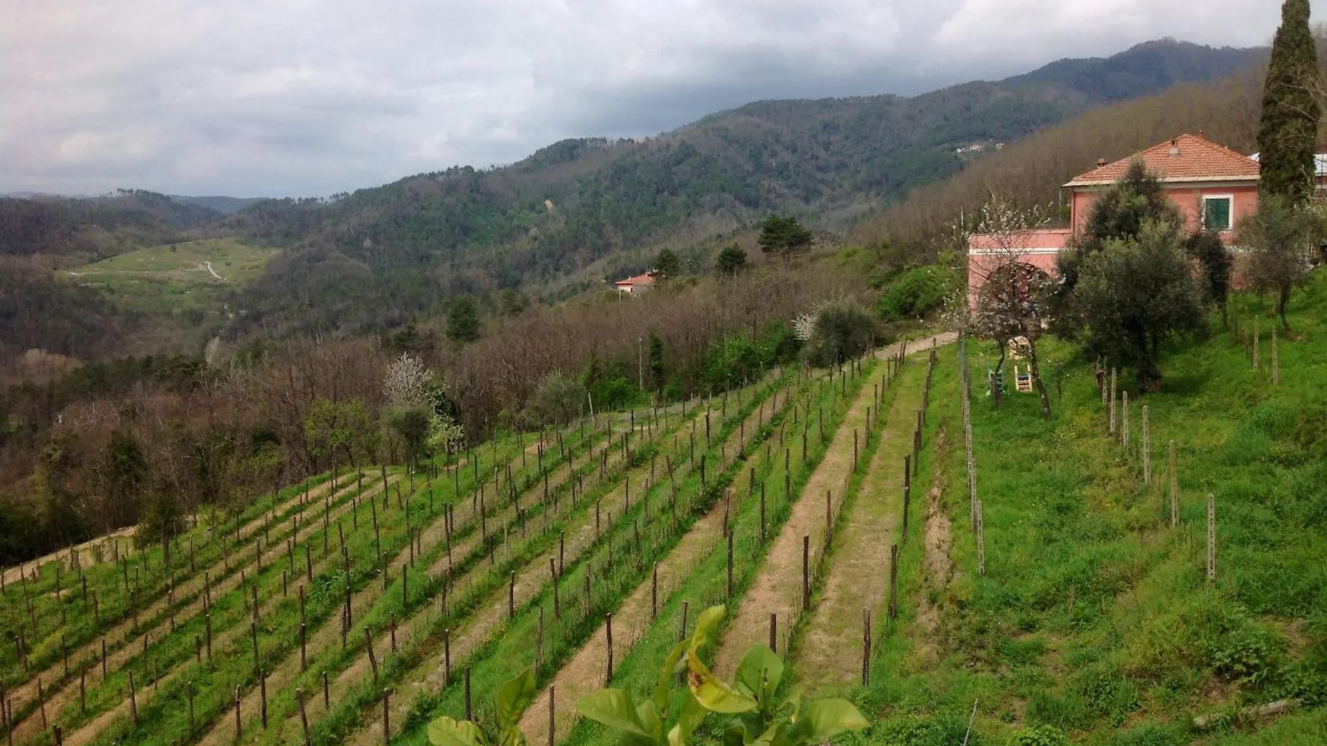 ラ・スペツィア Agriturismo Cerrolungoヴィラ 0*,  イタリア