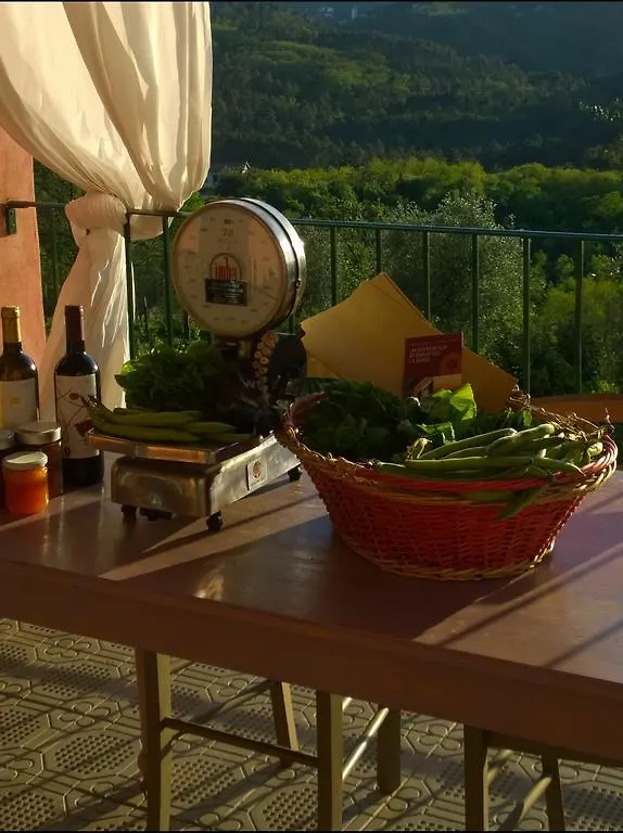 ラ・スペツィア Agriturismo Cerrolungoヴィラ